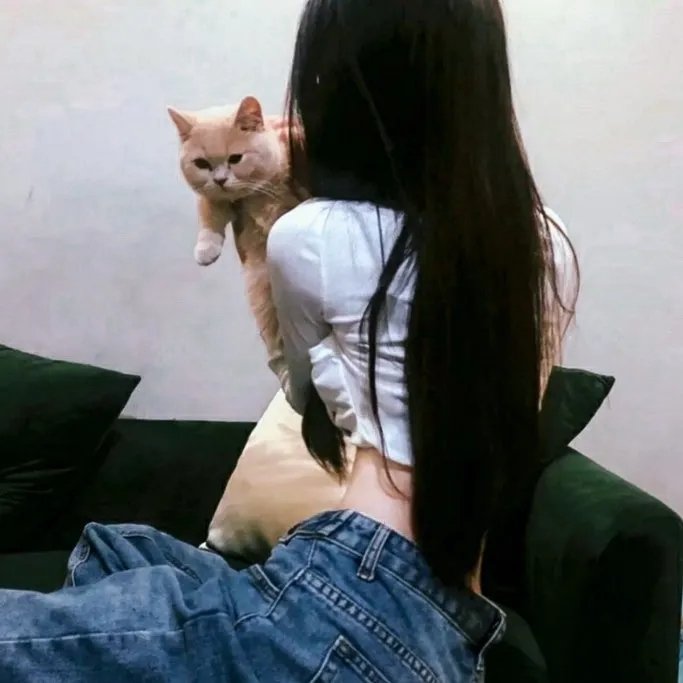 王子的本命是反派大小姐